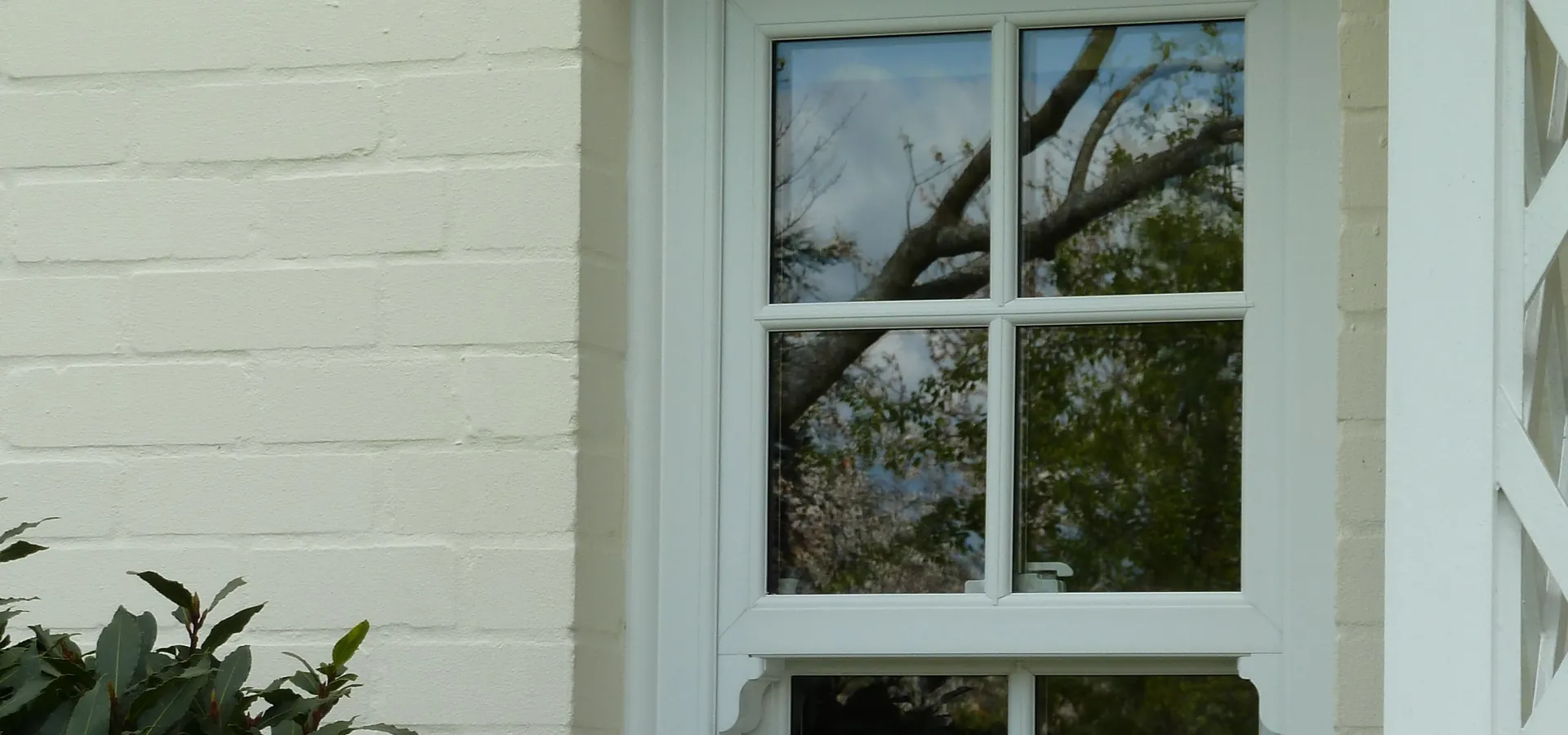 Sash Windows Poplar