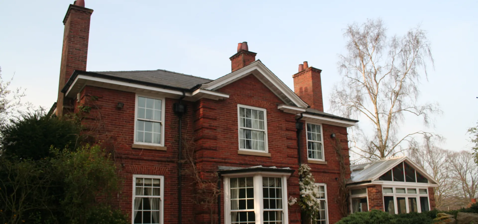 Gallery Poplar
